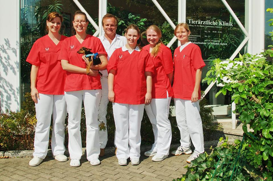 Stellenangebot: Tierklinik Heidelberg sucht Tierarzthelfer (m/w)