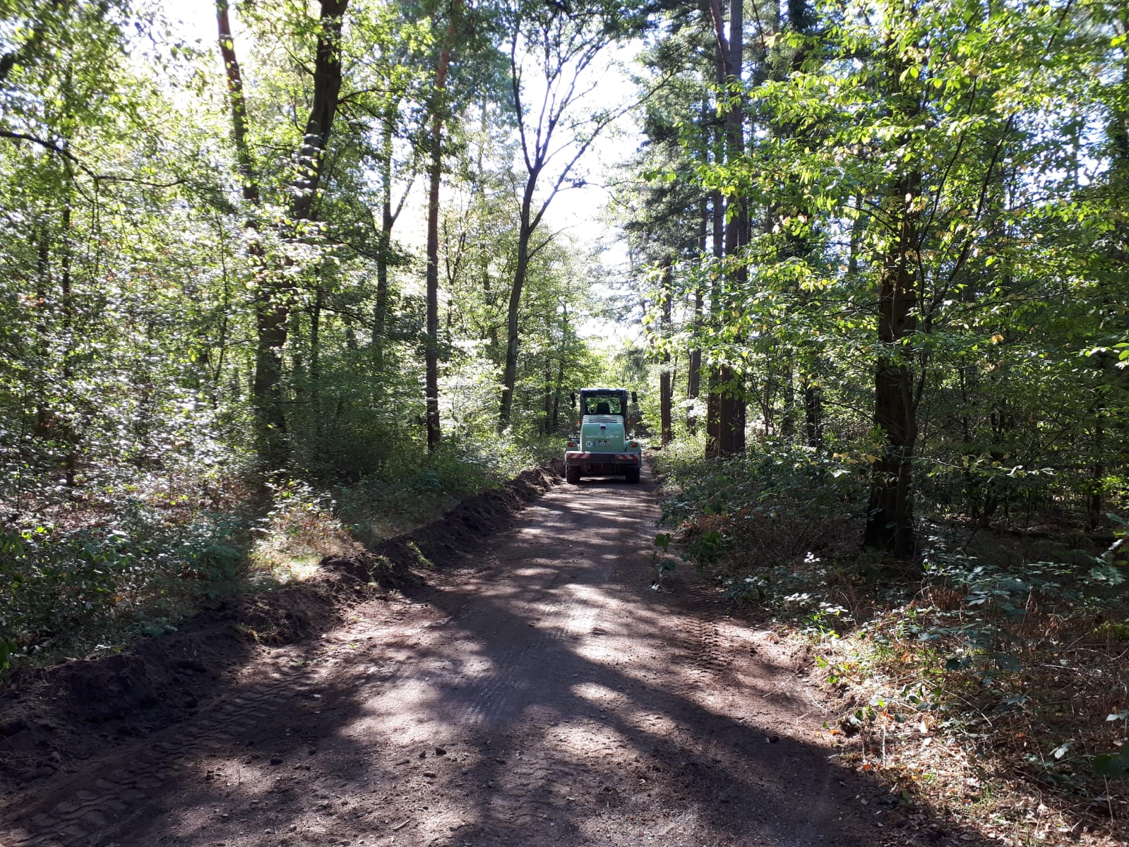 Schwetzinger Hardt: Alter Postweg in neue Form gebracht.