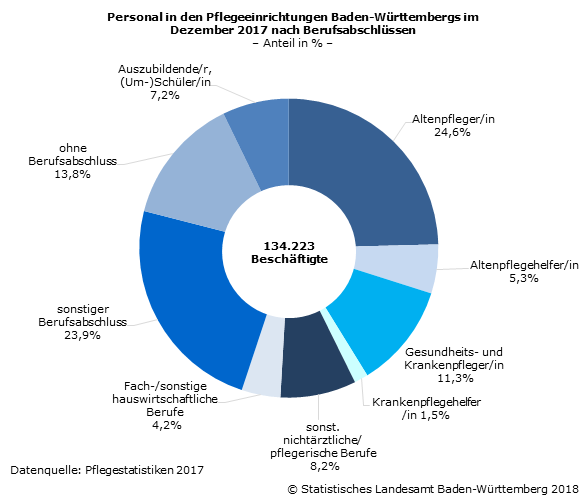 134 223 Beschäftigte in den Pflegeeinrichtungen des Landes