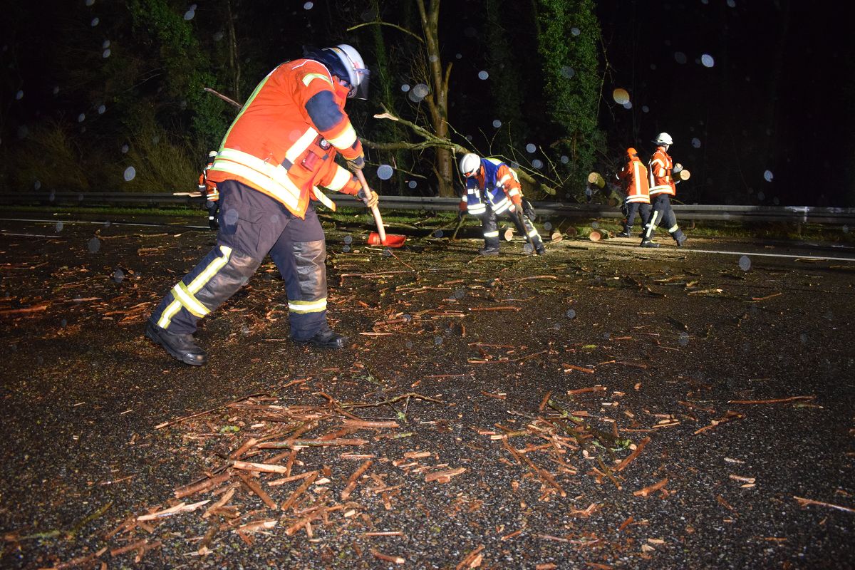 A6/Sinsheim: Baum blockiert Autobahn – Auto kann nicht mehr bremsen