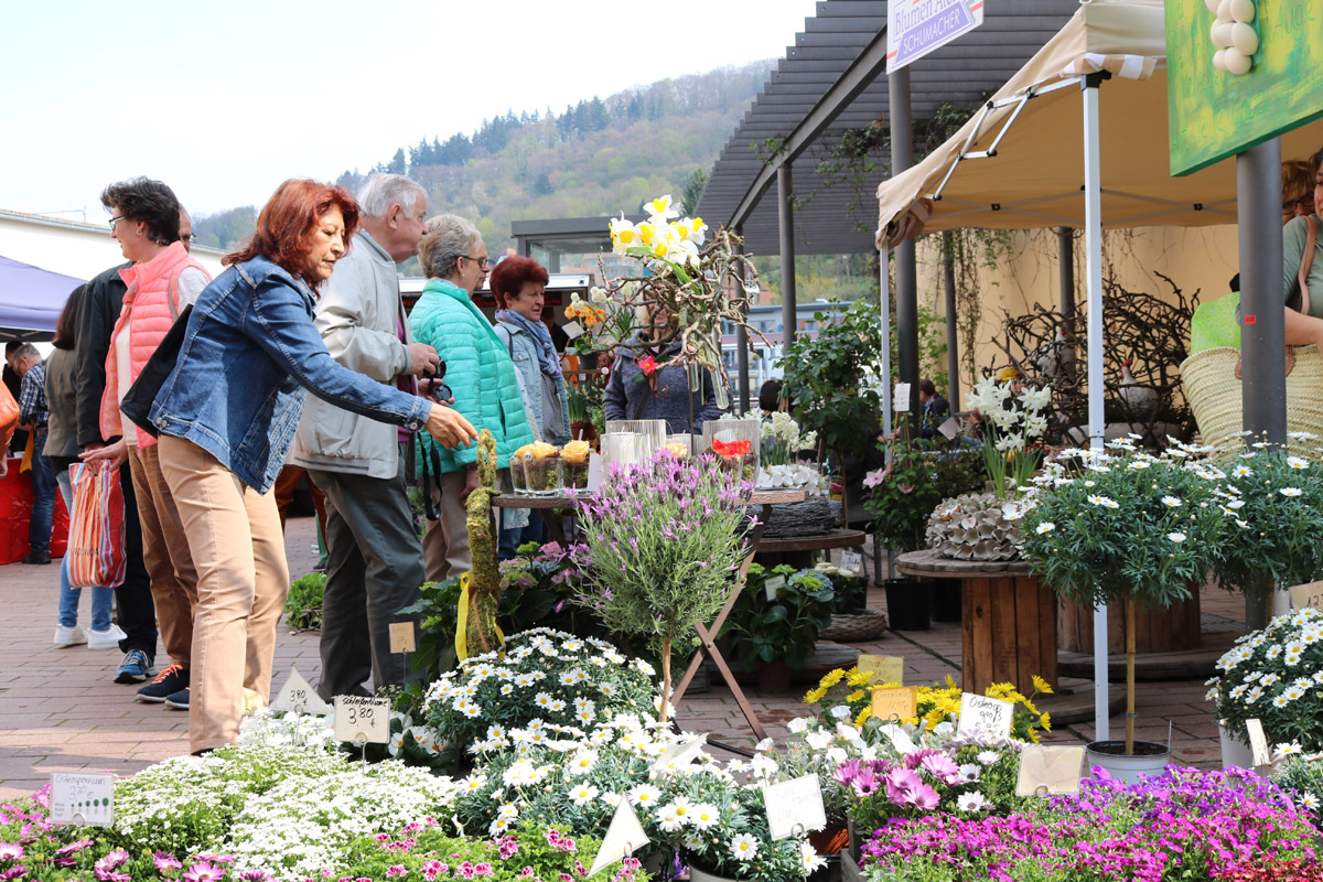 Weinheim blüht wieder was