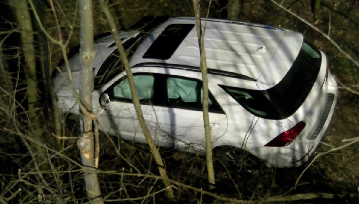 Sinsheim-Ehrstädt: Auto kommt von Fahrbahn ab und kracht in Waldschlucht (mit Fotostrecke)