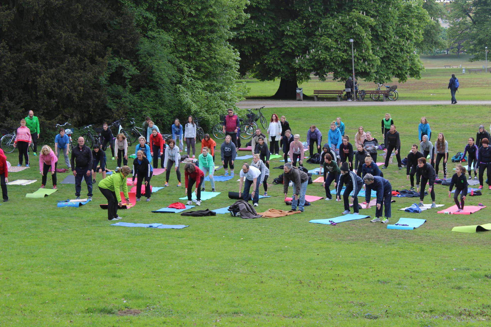 Sport im Park – Neuerungen in der Saison 2019