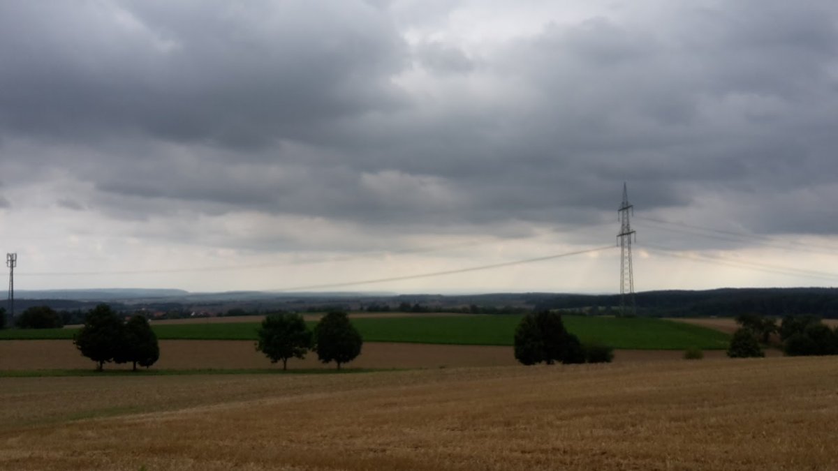 Weniger Raps, mehr Getreide in Baden-Württemberg
