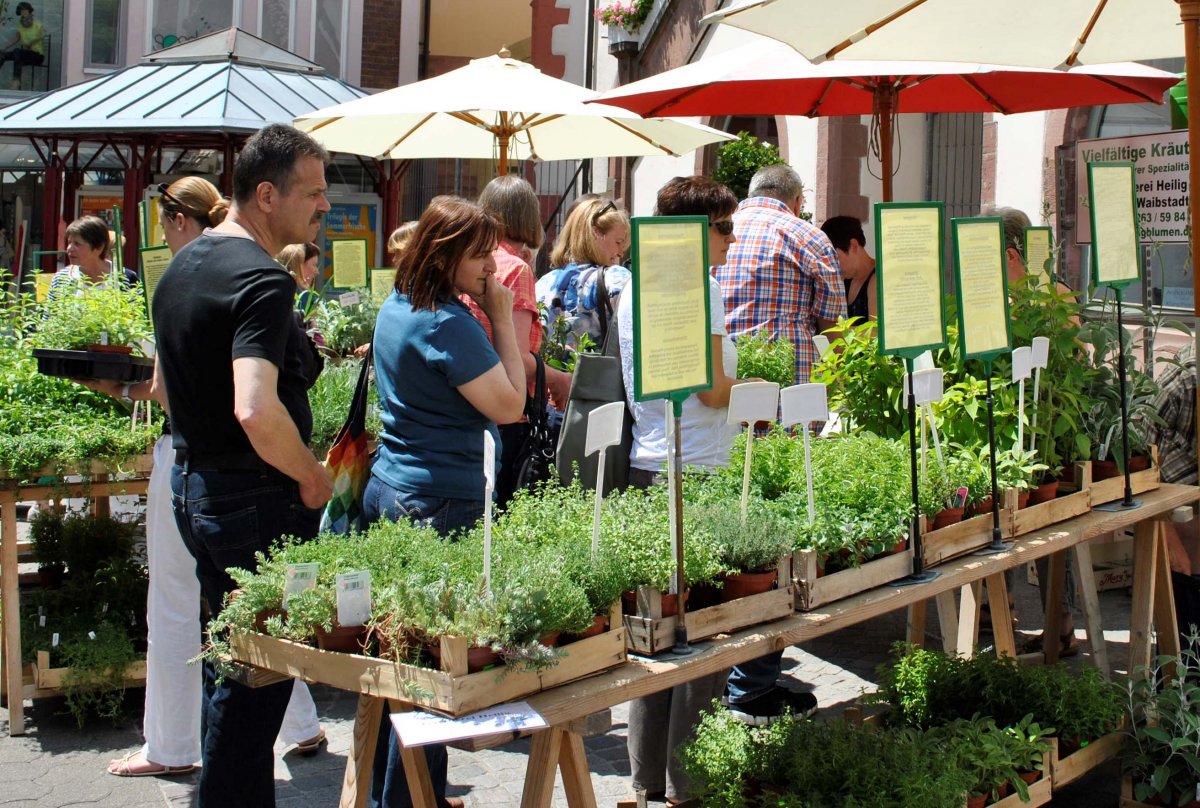 Vielfalt der Region auf dem Weinheimer Naturparkmarkt