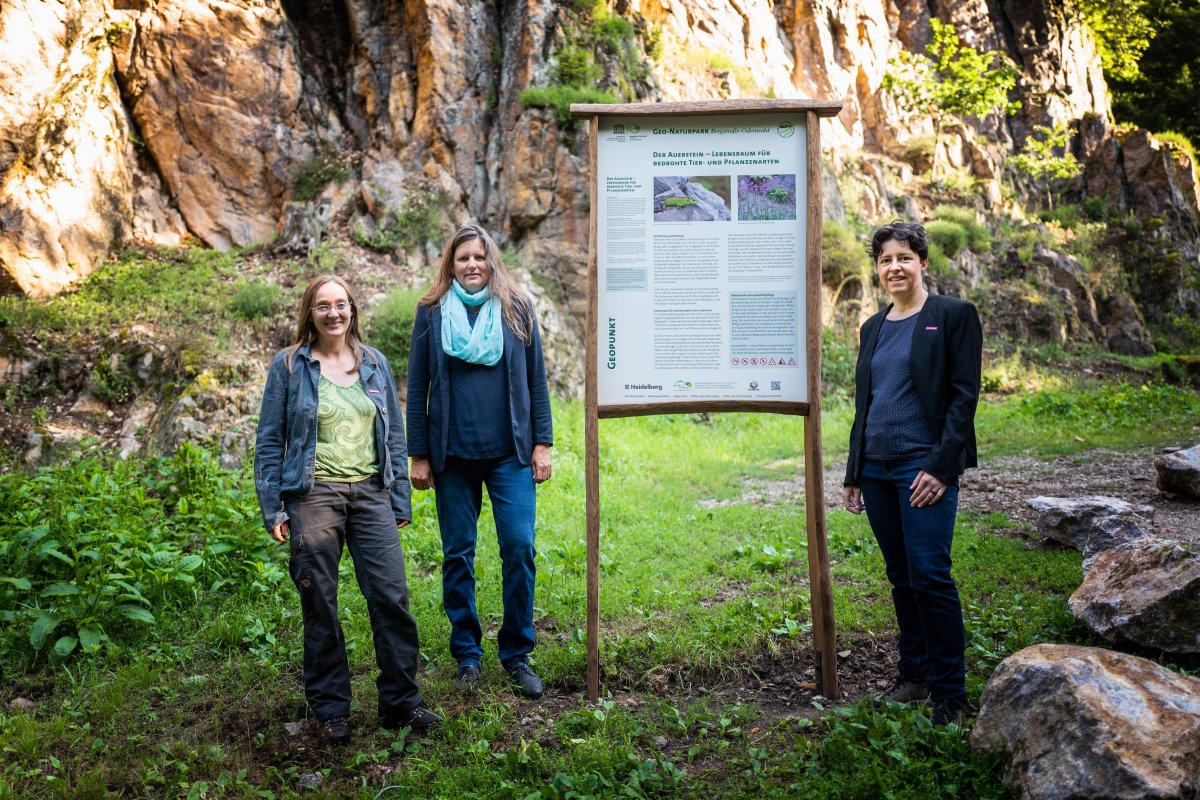 Heidelberg – Leben auf dem Vulkan: neue Naturparktafel am Auerstein