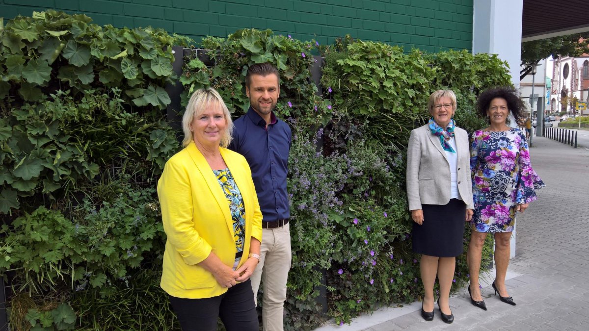 Mannheim – Mehr Grün in der Stadt: Greenwall in K 7