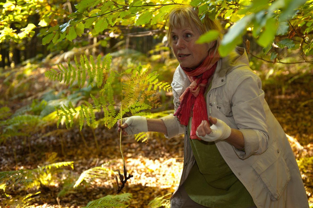 Letzter Wildkräuterspaziergang in Weinheim für dieses Jahr  am 17. Oktober