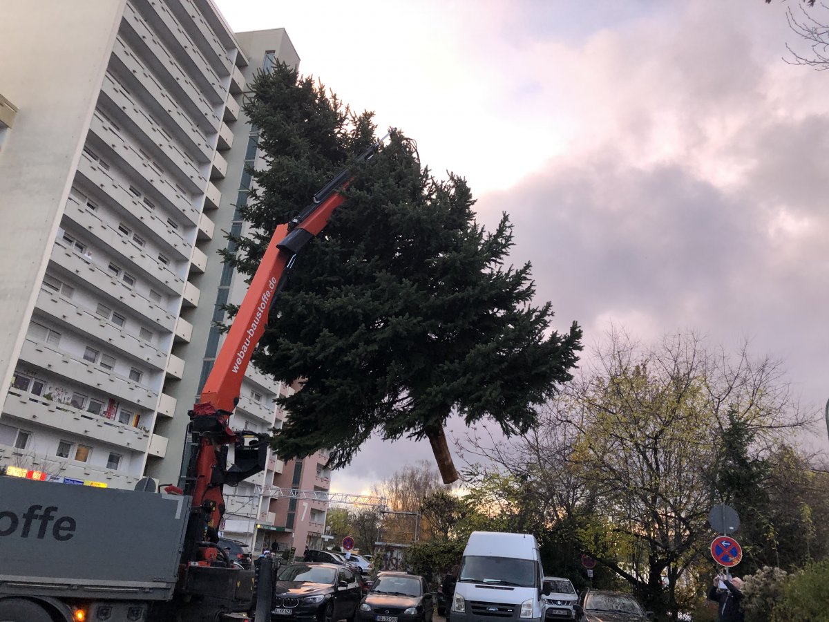 Weinheim: Siedler lassen Christbaum einfliegen