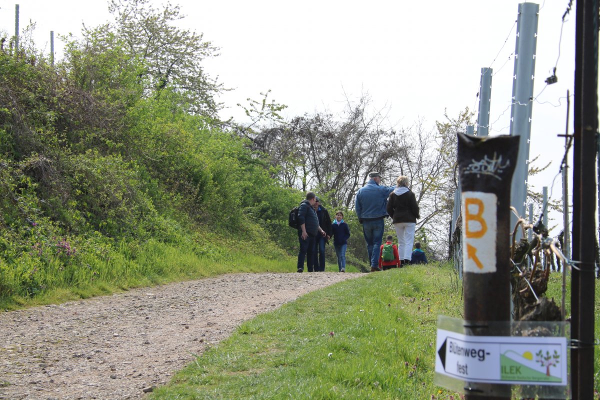 Weinheim: Der Blütenweg als Erlebnis