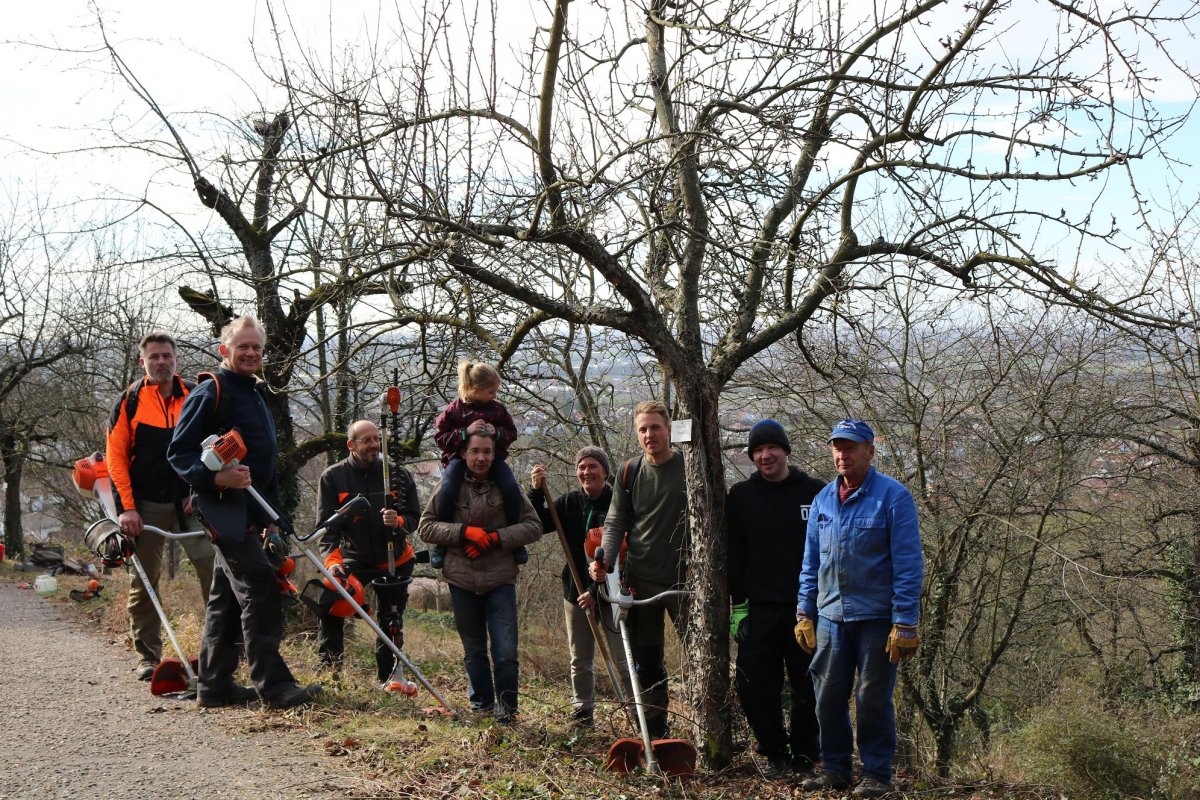 Weinheim: Häuselberg fit fürs Blütenwegfest