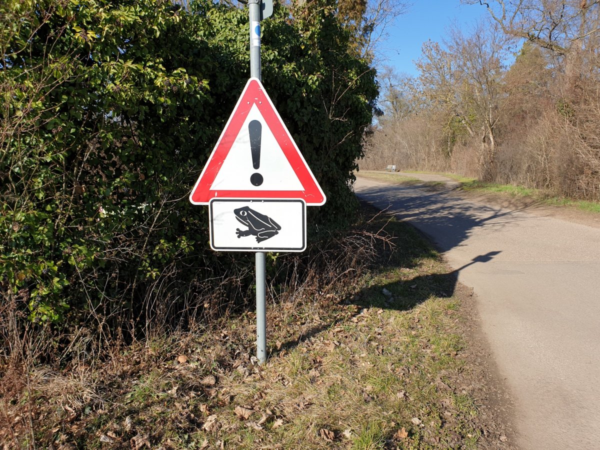 Landratsamt schützt wandernde Amphibien mit Straßensperrungen und Geschwindigkeitsbegrenzungen