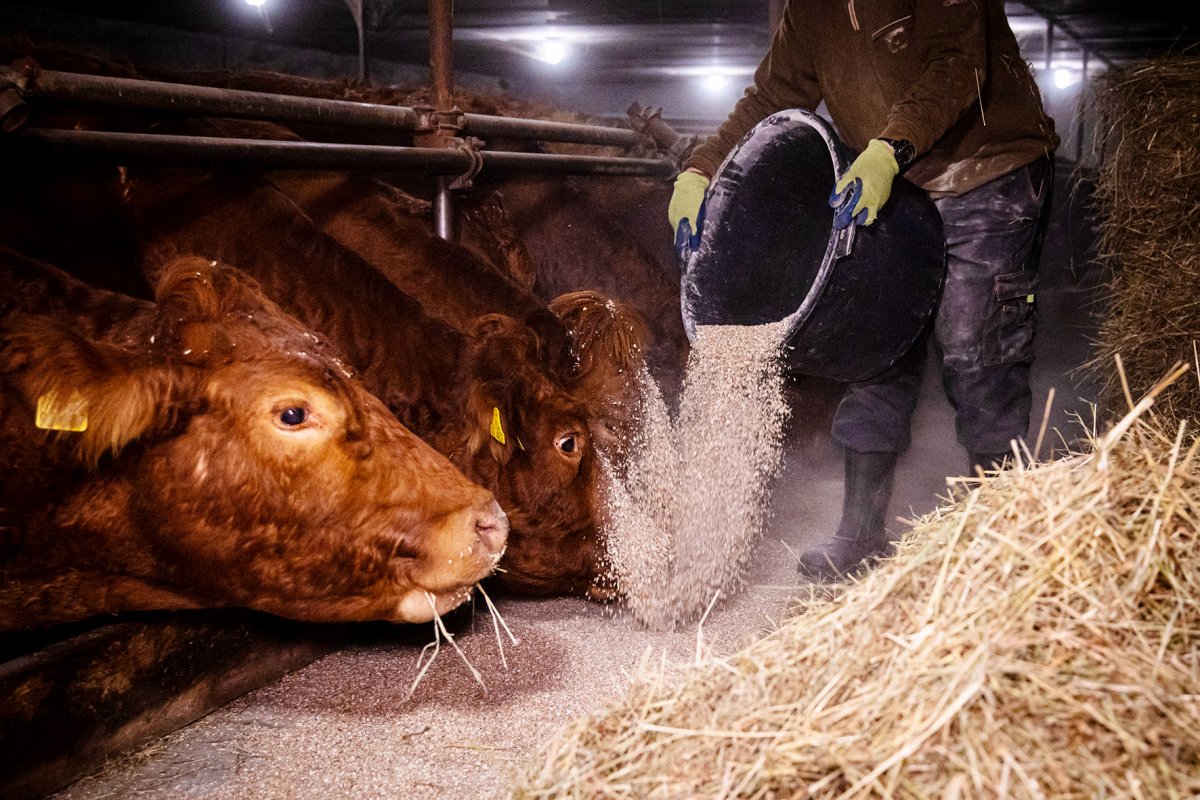 Beschäftigte in der Landwirtschaft müssen um Zusatzrente bangen