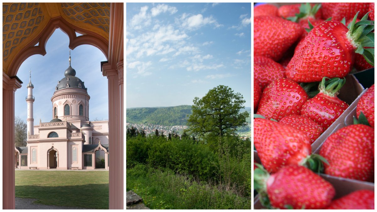 Pfingstferien in der Region: Kultur, Natur und Kulinarik – Den Rhein-Neckar-Kreis neu entdecken