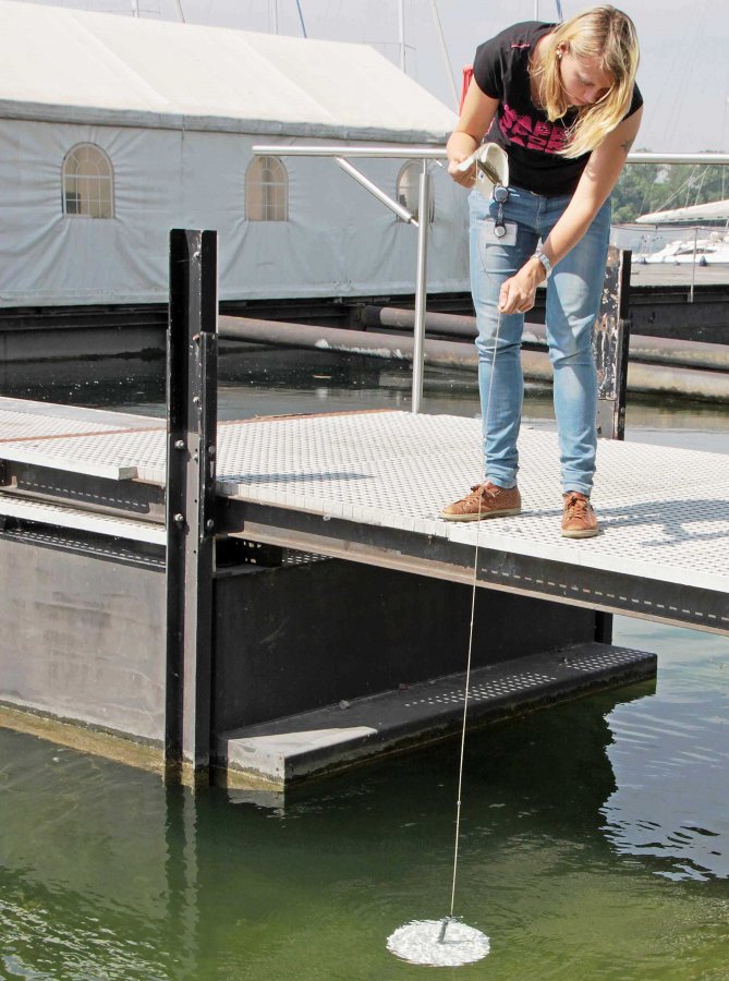 Rhein-Neckar: Gesundheitsamt hat bei allen neun Badeseen zum Saisonstart keine Beanstandungen, was die Wasserqualität betrifft