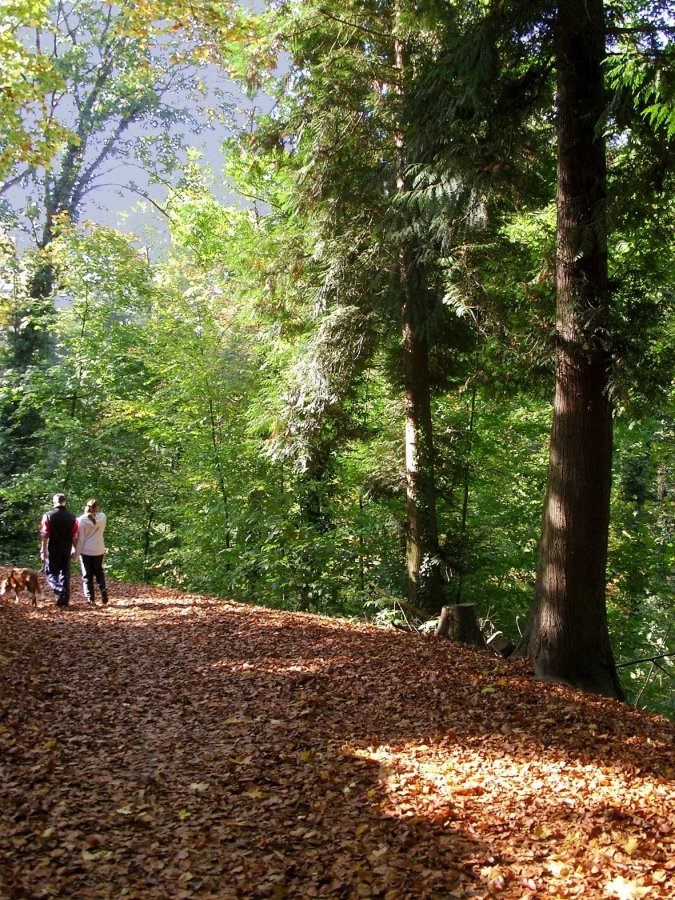 Weinheim: Auf in den exotischen Spätsommer