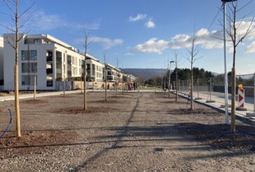 Bahnstadt: Erste Halbzeit der Bauarbeiten an der Pfaffengrunder Terrasse abgeschlossen Bauarbeiten für neuen Platz im Zeitplan / Erste Bäume sind gepflanzt / Großteil folgt ab April 2021