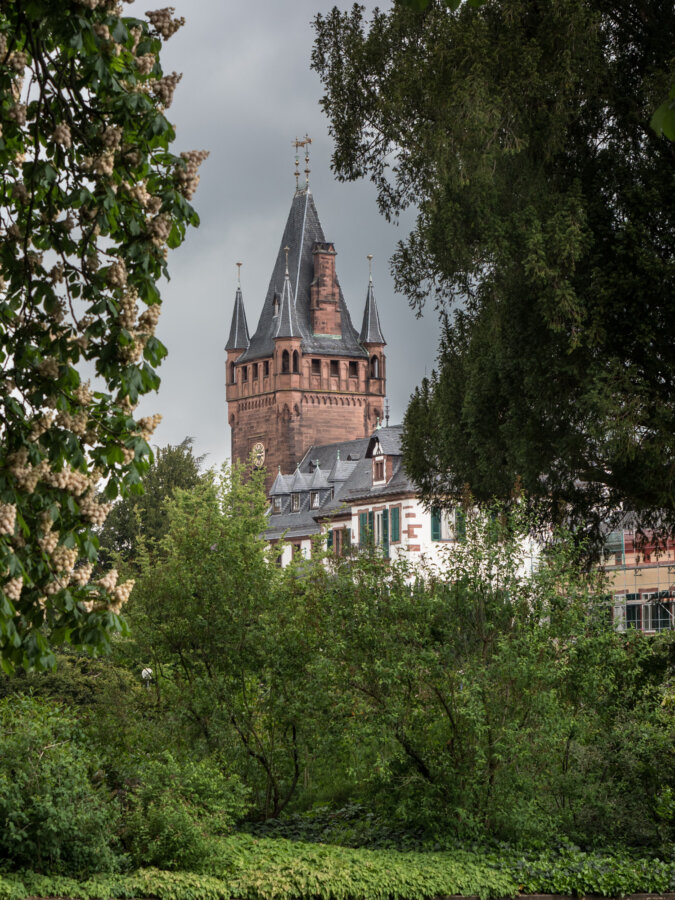 Führung rund ums Weinheimer Schloss am Sonntag, 5. September – Blick ins geheimnisvolle Mausoleum 