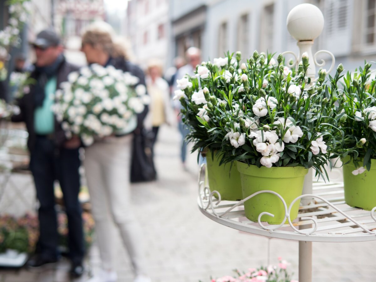 Verkaufsoffener Sonntag am 12.9. in Weinheim