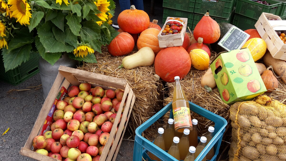 Rhein-Neckar: Geführte Radtouren mit Bezug zu regionalen Produkten ab 1. Oktober