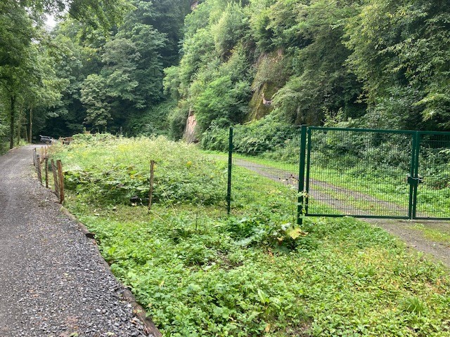 Gewinn für Mensch und Natur: Wanderweg am Steinbruch Heidelberg Gumpental verlegt