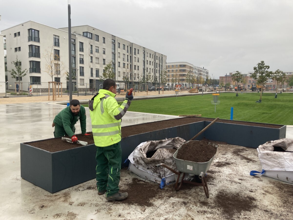 Neuer Platz in der Bahnstadt: Pfaffengrunder Terrasse wird am 22. Oktober eröffnet