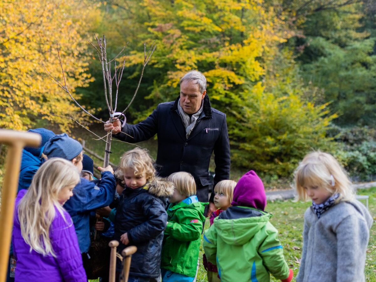 Heidelberg: Kinder der Kita Wörterwald pflanzten mit dem Oberbürgermeister einen Baum