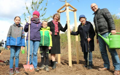 Neue Bäume und Bänke für den Mannheimer Bürgerpark: Bürgermeisterin bedankt sich für Spenden