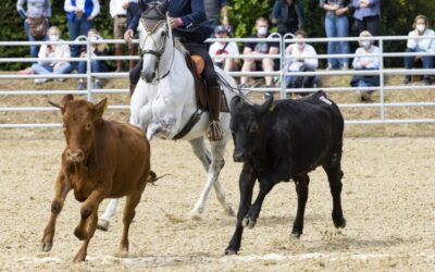 Equitana Open Air 2022 – Die Höhepunkte