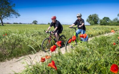 Für mehr nachhaltige Mobilität: Radtour nach Speyer