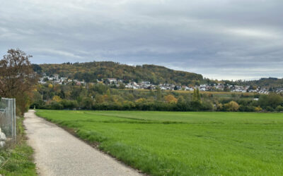 Weinheimer Betriebe dürfen erweitern