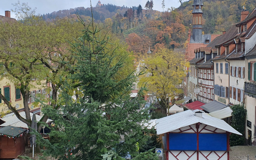 Der Marktplatz wird weihnachtlich