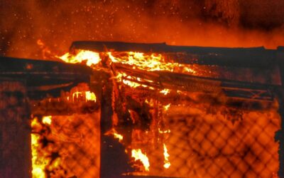 Mannheim-Neckarau: Brand von Paletten in einem Firmengebäude sorgt für Feuerwehreinsatz