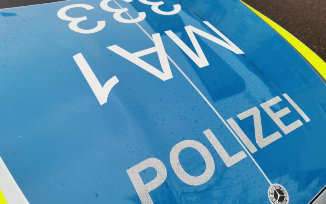Ludwigshafen – Versuch sich einer Polizeikontrolle zu entziehen endet mit Unfall