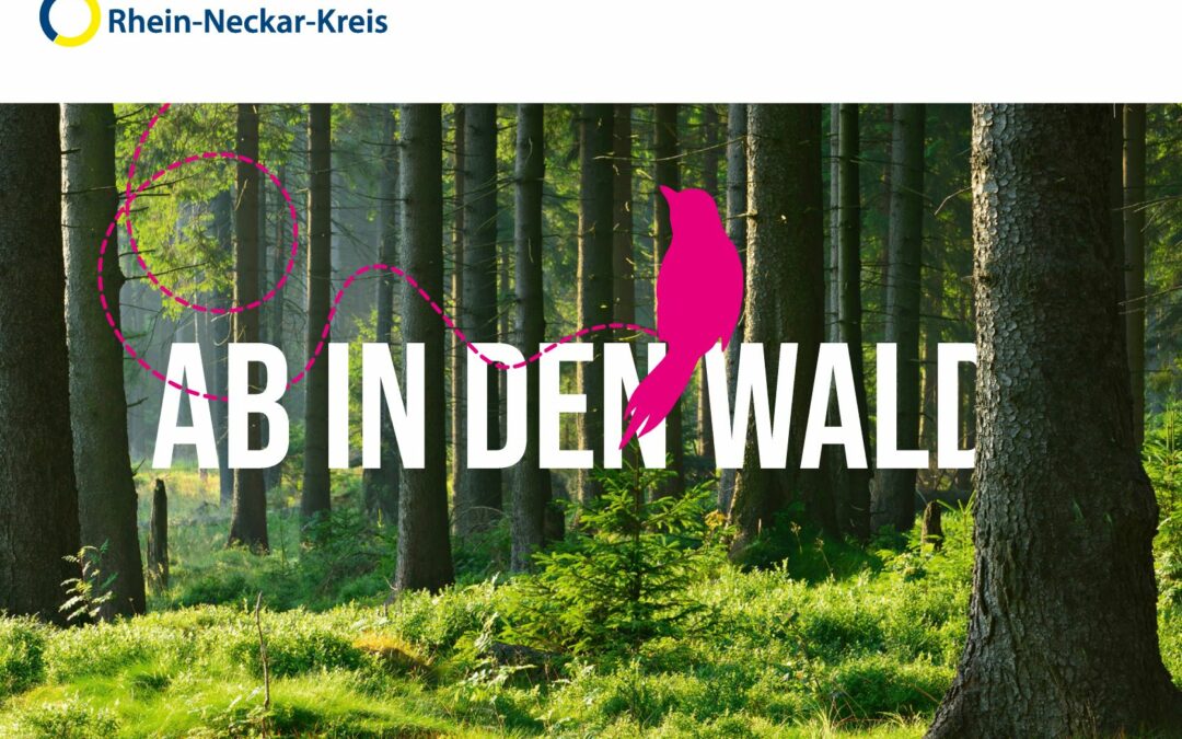 Veranstaltungsprogramm „Ab in den Wald“ ist online