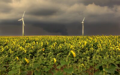 Südwest: Deutscher Wetterdienst warnt vor Unwetter