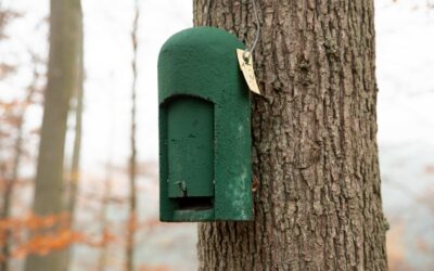 Serie Waldnaturschutz des Kreisforstamts