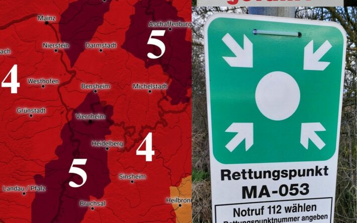 Erhöhte Waldbrandgefahr: Rhein-Neckar-Kreis in höchster Alarmstufe – Feuerwehr mit wichtigen Verhaltenshinweise
