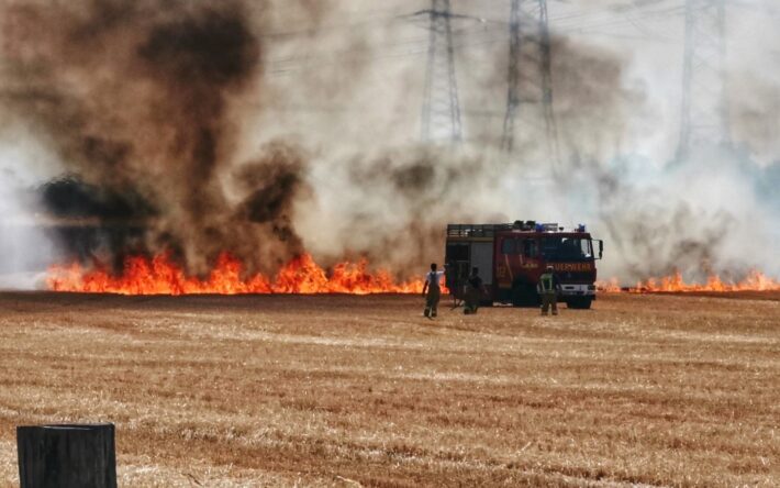 Nutzfelder in Vollbrand – Mehrere Feuerwehren im Einsatz bei Großbrand