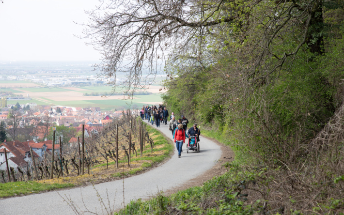 Der Blütenweg als Erlebnis