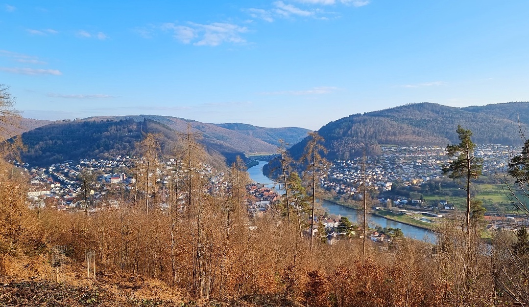 Veranstaltungsreihe “Ab in den Wald”