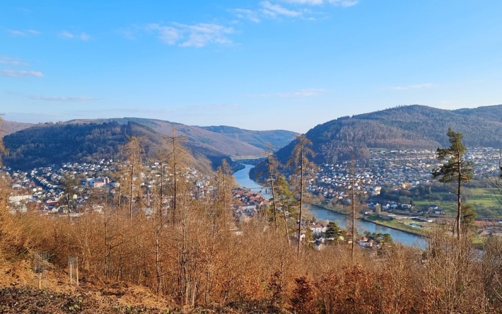 Veranstaltungsreihe “Ab in den Wald”