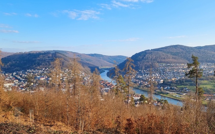 Veranstaltungsreihe “Ab in den Wald”