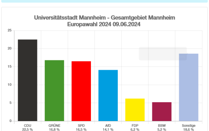 Vorläufiges amtliches Endergebnis der Europawahl 2024