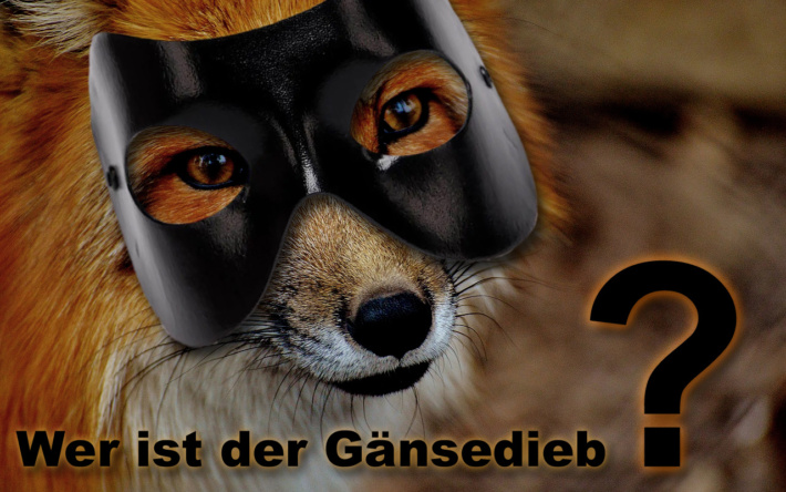 Schriesheim: Unbekannter entwendet zwei Gänse