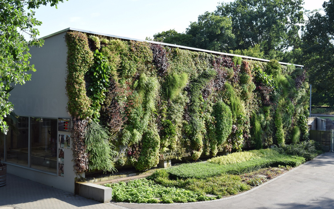 Trägt Ihr Haus schon Grün?