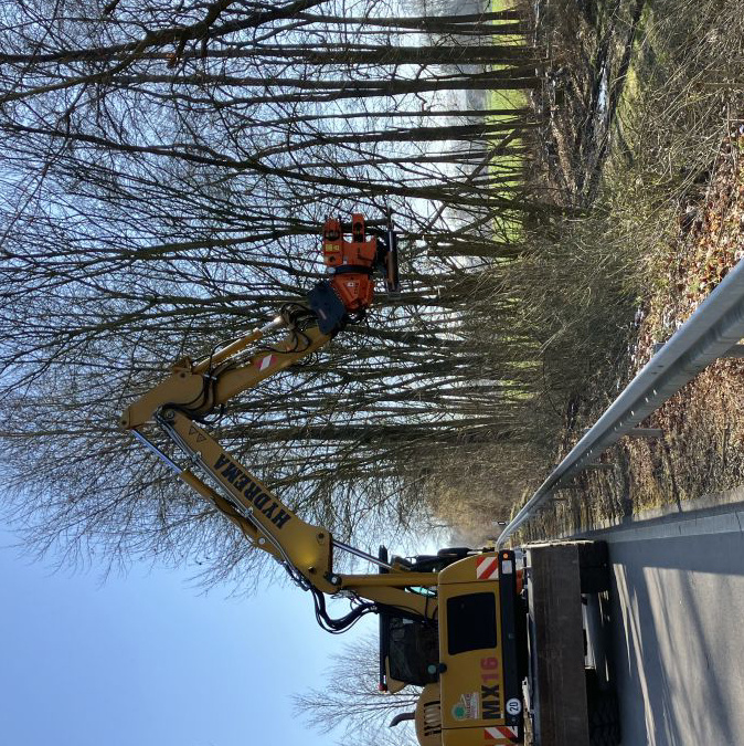 Gehölze entlang der Straßen im Rhein-Neckar-Kreis werden zurückgeschnitten
