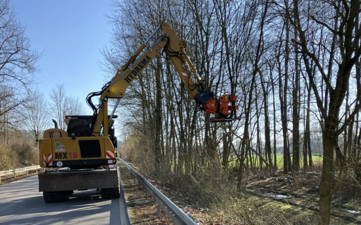 Gehölze entlang der Straßen im Rhein-Neckar-Kreis werden zurückgeschnitten