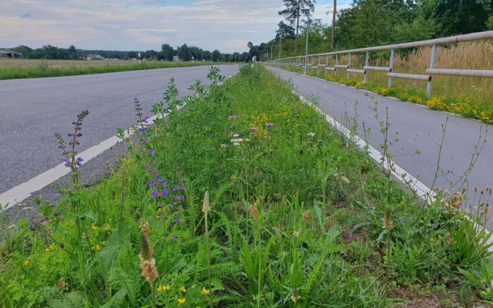 Wettbewerb Straßenoasen