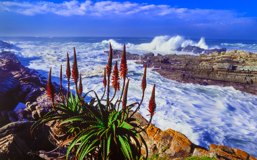 Panorama Multivision Südliches Afrika